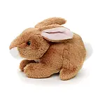 Plyš Zajíc 15cm