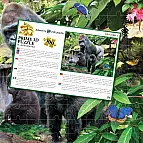 Puzzle 3D - Gorily