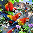 Puzzle 3D - Papoušci