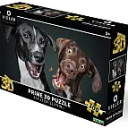 Puzzle 3D - Psi