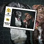 Puzzle 3D - Psi
