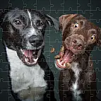 Puzzle 3D - Psi