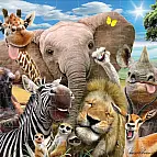 Puzzle 3D - Smějící se africká zvířata