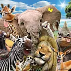 Puzzle 3D - Smějící se africká zvířata