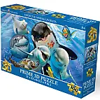 Puzzle 3D - Smějící se mořská zvířata