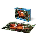 Puzzle 3D - Klaun očkatý