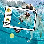 Puzzle 3D - Pes
