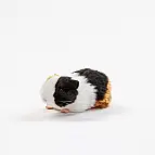 Plyš Morče 21 cm - ECO - FRIENDLY