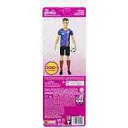 Barbie Fotbalová panenka-Ken v modrém dresu HCN15