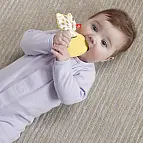 Fisher Price Chrastítka/kousátka  HRB19