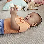 Fisher Price Chrastítka/kousátka  HRB19