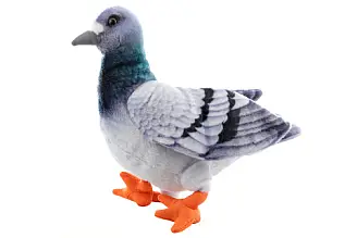 Plyš holub 22cm
