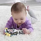 Fisher Price Plyšová vydra s knížkou HXG96