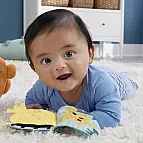 Fisher Price Plyšová vydra s knížkou HXG96
